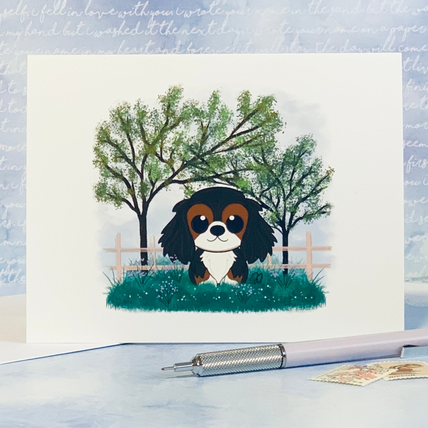 Cavalier King Charles Spaniel