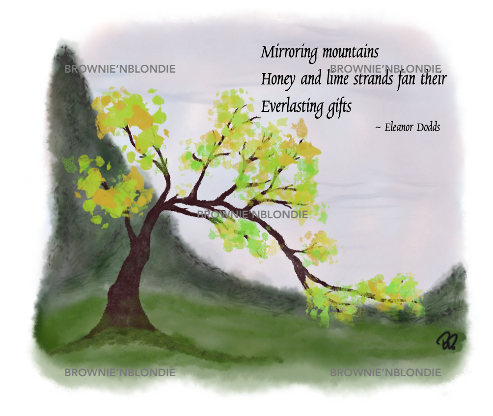 Art & Poetry Greeting Card Set