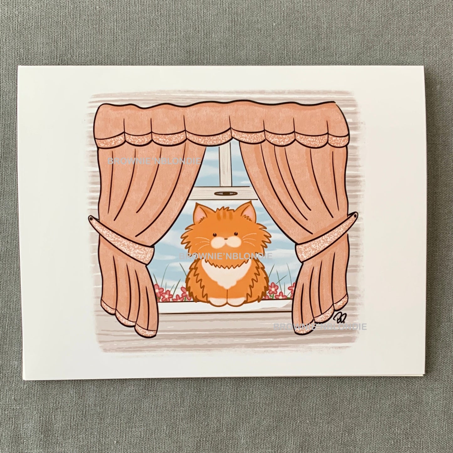 Kitty in the widow