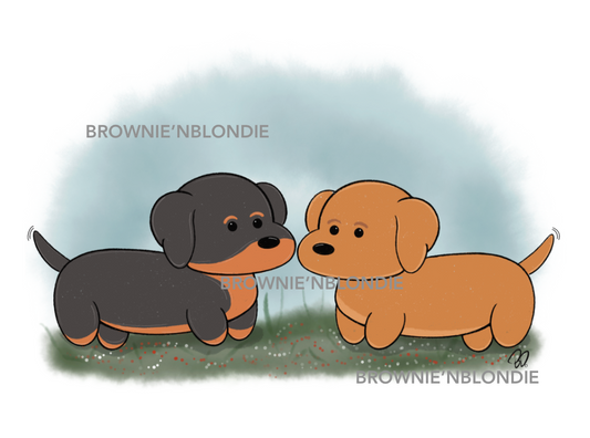 Little Dachshunds
