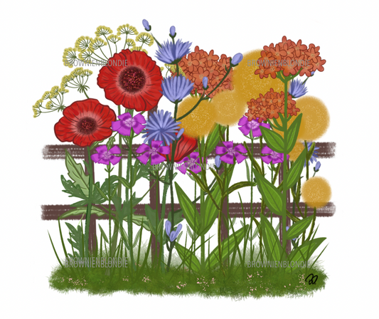 Flowers by the fence