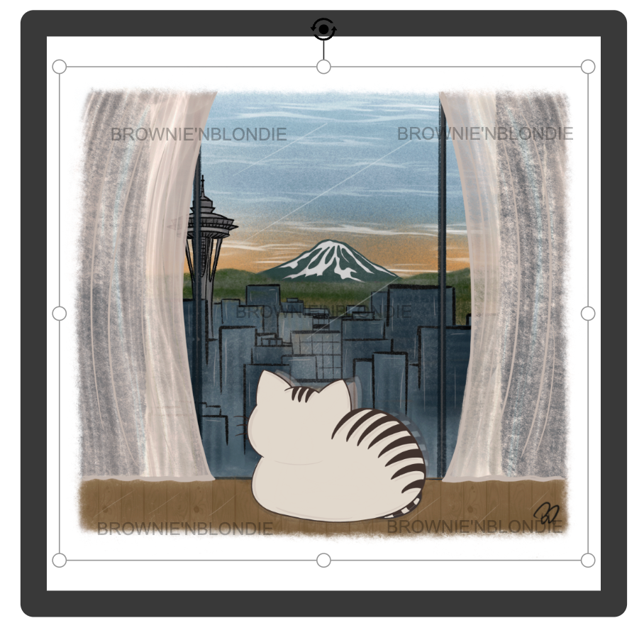 Framed Art Print -  Seattle Views