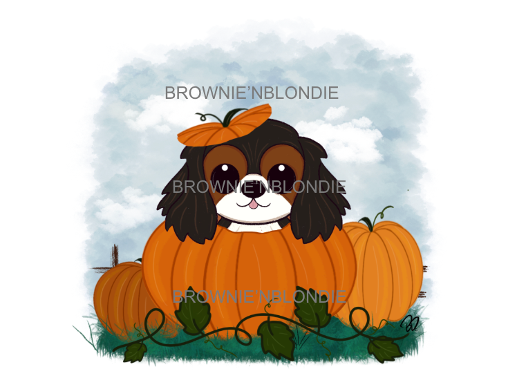 Halloween Hide & Seek
