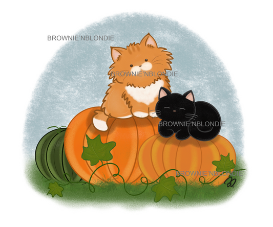 In the Pumpkin Patch